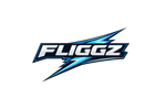 Translation missing: en.Fliggz inc. accessibility.home